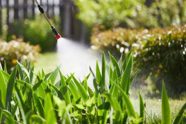 24/7 Emergency Termite Control experts in Reform, AL