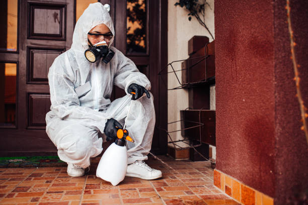 Reliable Termite Control contractor in Reform, AL by Nex Pest Control