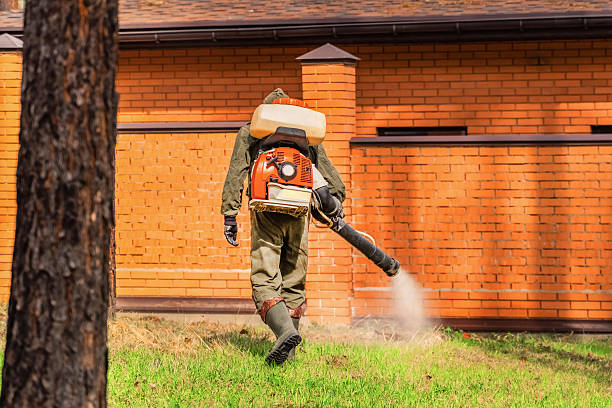 Trusted Termite Control service in Reform, AL - Nex Pest Control